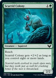 Scurrid Colony