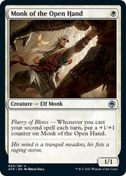 Monk of the Open Hand