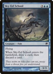 Sky-Eel School