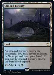 Choked Estuary