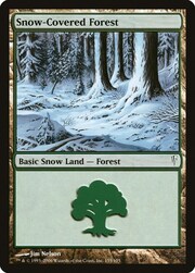 Snow-Covered Forest