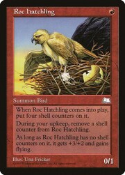 Roc Hatchling