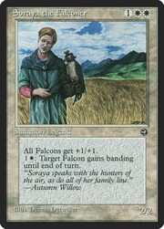 Soraya the Falconer