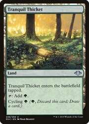 Tranquil Thicket