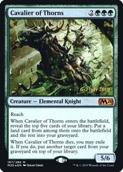 Cavalier of Thorns