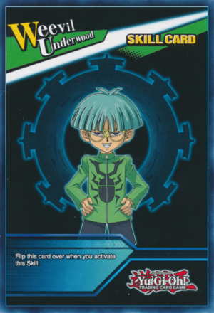 Bozzolo dell'Ultra Evoluzione Card Back