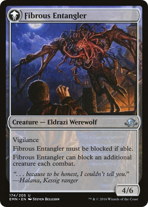 Tangleclaw Werewolf // Fibrous Entangler Card Back