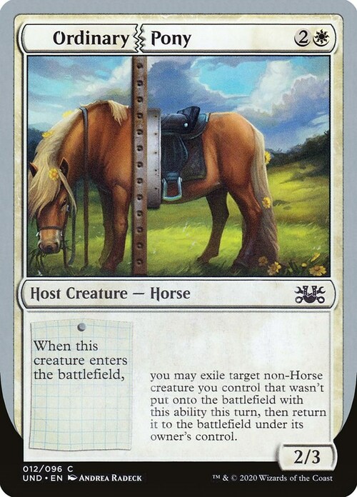 Ordinary Pony Card Front