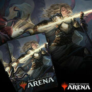 Arena Code