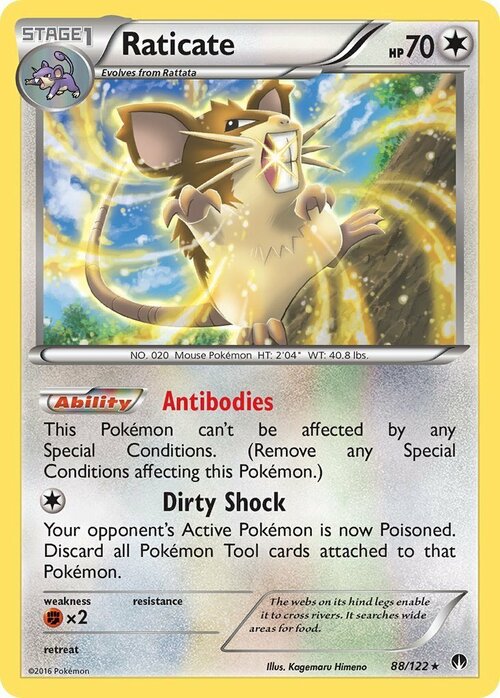 Raticate Card Front