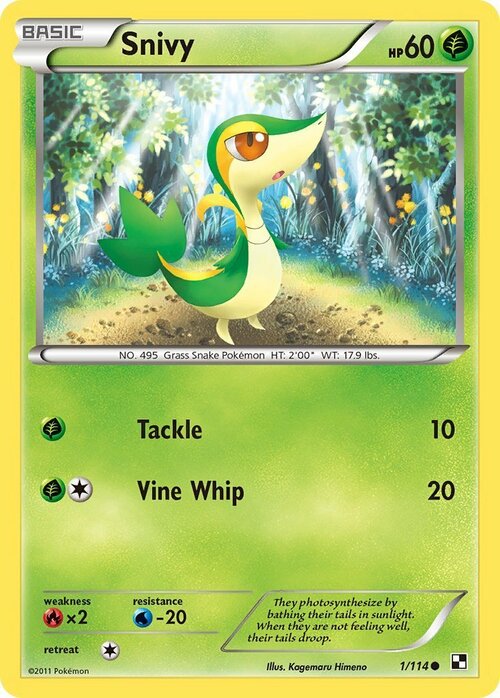 Snivy Card Front