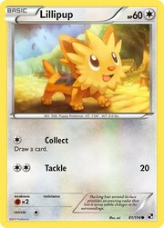 Lillipup