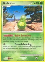 Budew Lv.6