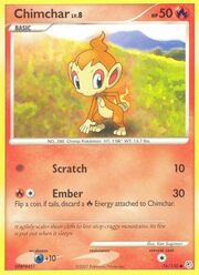 Chimchar Lv.8