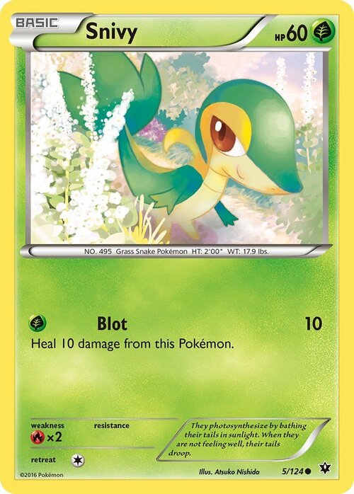 Snivy Card Front