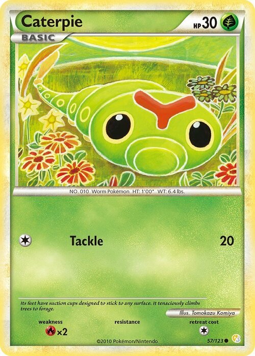 Caterpie Card Front