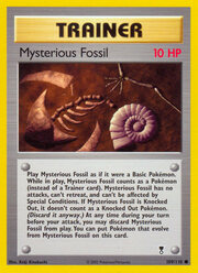 Mysterious Fossil