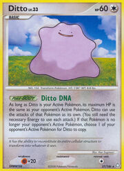 Ditto Lv.33