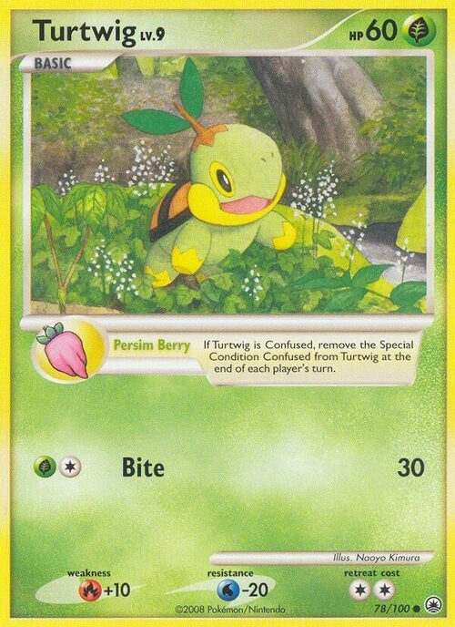 Turtwig Card Front