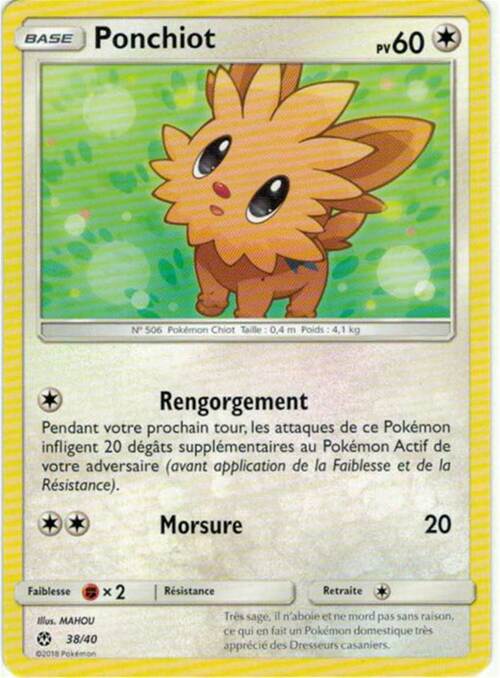 Lillipup Card Front