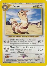 Furret