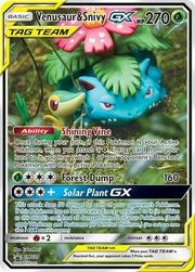 Venusaur & SnivyTag Team GX