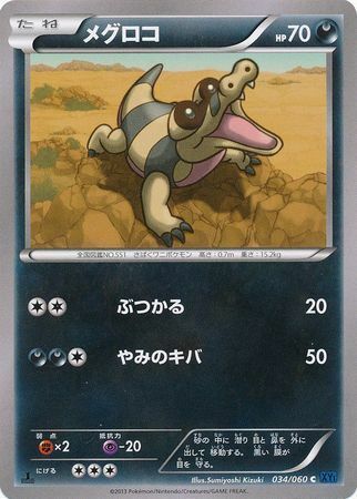 Sandile Card Front