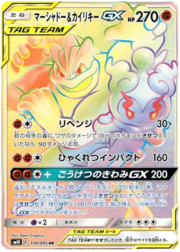 Marshadow & Machamp Tag Team GX