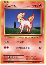 Ponyta