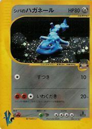 Bruno's Steelix Card Front