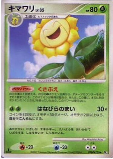 Sunflora Card Front