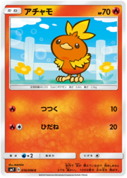 Torchic