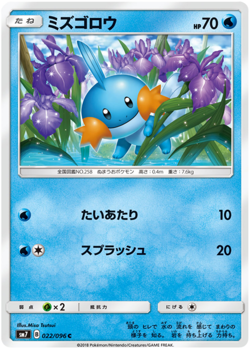 Mudkip Card Front