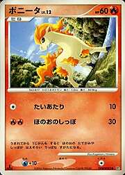 Ponyta Lv.12