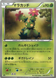 Maractus