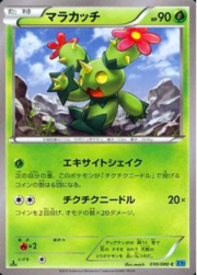 Maractus