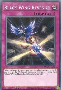 Black Wing Revenge Card Front