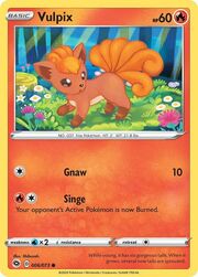 Vulpix [Gnaw | Singe]