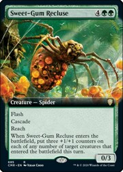 Sweet-Gum Recluse