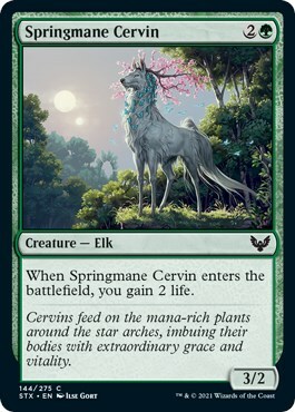 Springmane Cervin Card Front