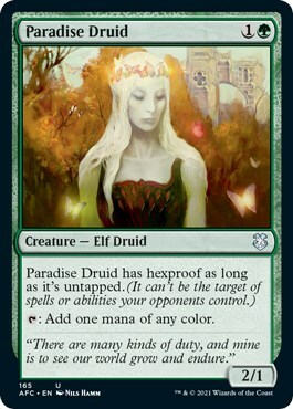 Paradise Druid Card Front