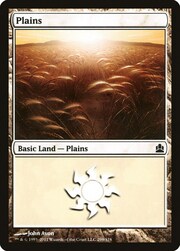 Plains