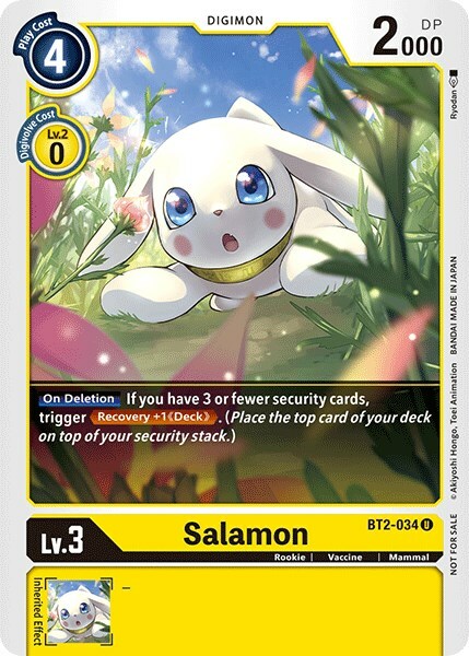 Salamon Card Front