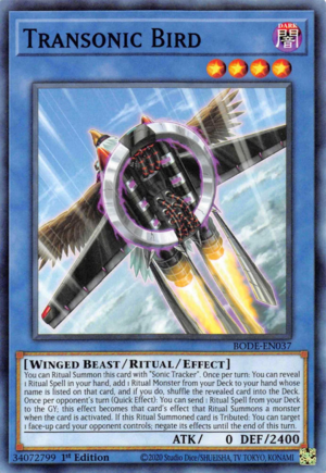 Transonic Bird Card Front