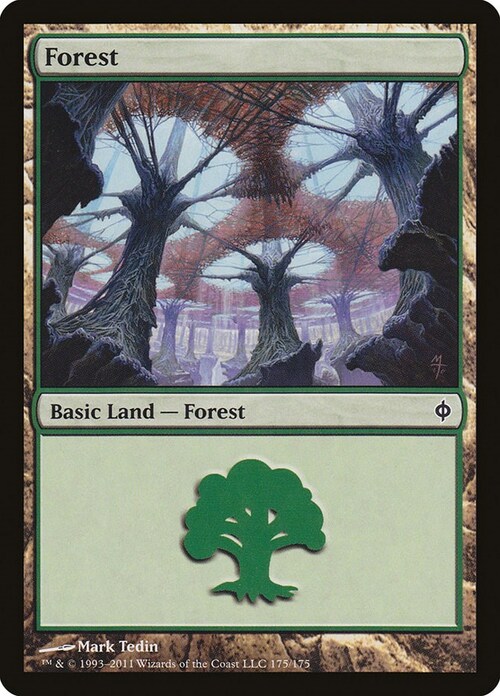 Forest Card Front