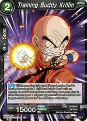 Training Buddy Krillin