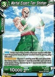 Martial Expert Tien Shinhan