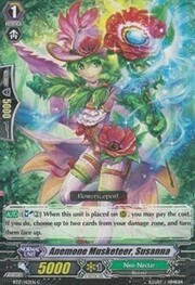 Anemone Musketeer, Susanna