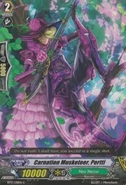 Carnation Musketeer, Pertti [G Format]