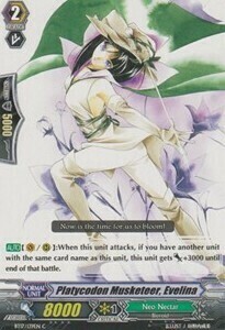 Platycodon Musketeer, Evelina Card Front